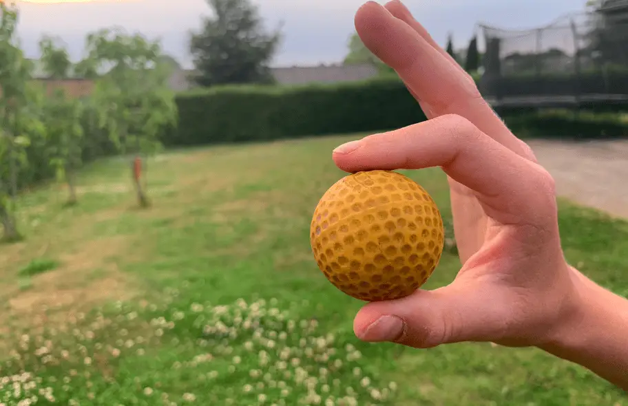 A golf ball can be a fake chicken egg