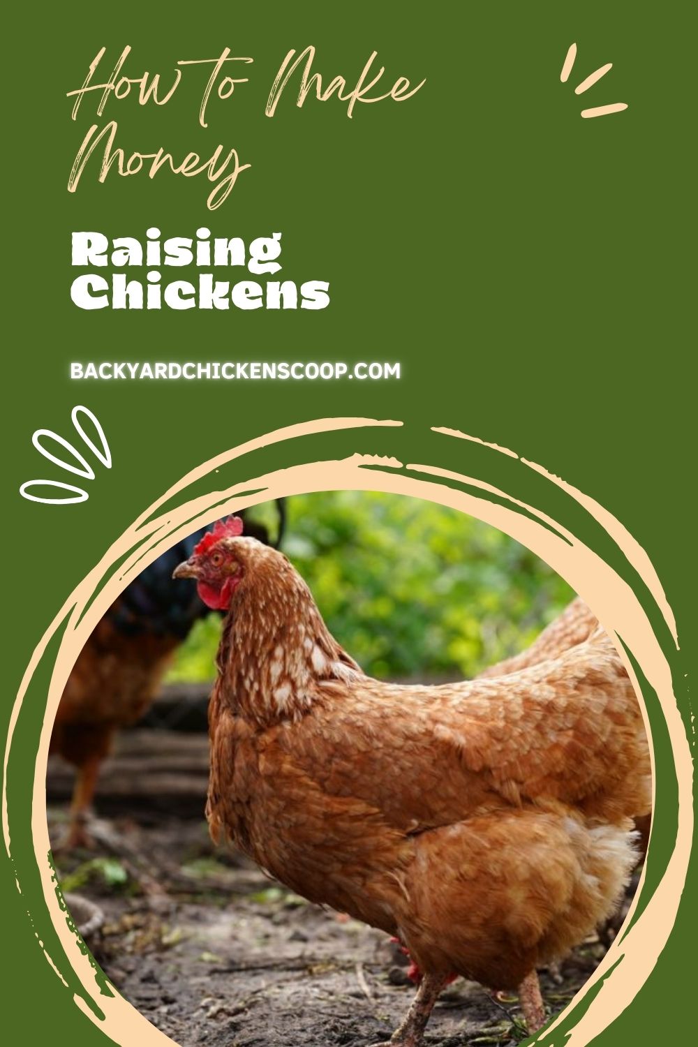 How to Make Money Raising Chickens - Backyard Chickens Coop