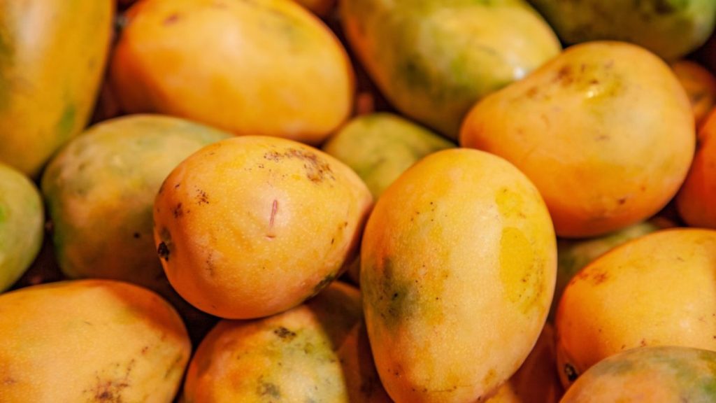 pile-of-yellow-mango